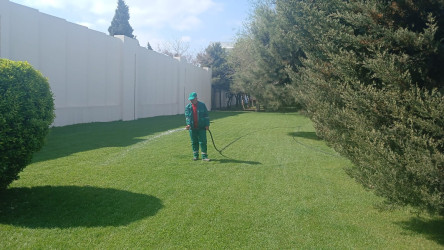 Nizami rayonunda abadlıq və yaşıllaşdırma işləri davam etdirilir - 08.04.2025