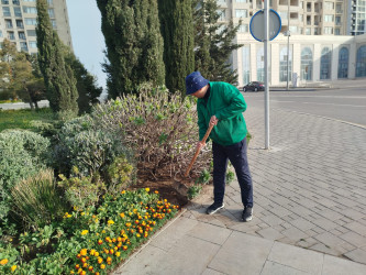 Nizami rayonunda abadlıq və yaşıllaşdırma işləri davam etdirilir - 08.04.2025