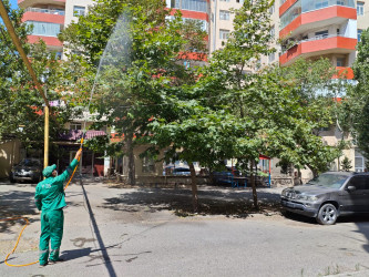 Nizami rayonunda yaşıllıqların qorunması məqsədilə dezinfeksiya işləri davam etdirilir - 17.07.2026