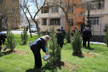 Şirin Mirzəyev küçəsi 70 və 72 saylı binaların həyəti abadlaşdırılaraq sakinlərin istifadəsinə verilib - 05.04.2024