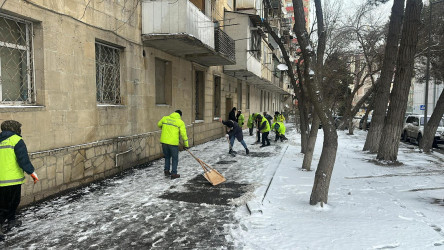 Nizami rayonunda qarın təmizlənməsi ilə bağlı tədbirlər davam etdirilir - 01.03.2025