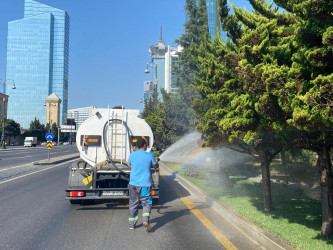 Nizami rayonunda yaşıllıqlara qulluq və abadlıq işləri davam etdirilir - 18.07.2026