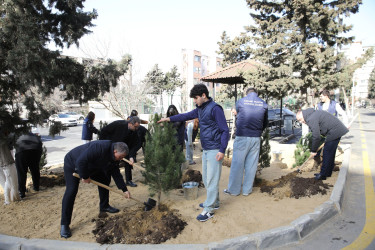 Nizami rayonunda növbəti məhəllə abadlaşdırılaraq sakinlərin istifadəsinə verildi - 18.02.2026