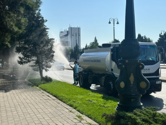 Nizami rayonunda yaşıllıqlara qulluq və abadlıq işləri davam etdirilir - 18.07.2026