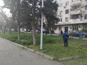 Nizami rayonunda abadlıq və yaşıllaşdırma işləri davam etdirilir - 08.04.2025