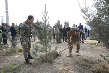 8 Noyabr – Zəfər Günü münasibətilə ağacəkmə aksiyası  - 04.11.2023