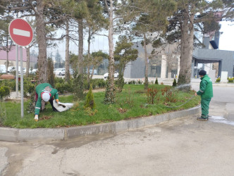 Nizami rayonunda abadlıq və yaşıllaşdırma işləri davam etdirilir - 08.04.2025