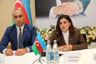 Nizami rayonunda 12 Noyabr – Konstitusiya Gününün 30 illiyi münasibətilə tədbir keçirilib - 12.11.2025