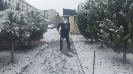 Nizami rayonunda qarın təmizlənməsi ilə bağlı tədbirlər davam etdirilir - 01.03.2025