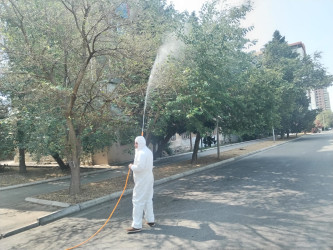 Nizami rayonunda yaşıllıqların qorunması məqsədilə dezinfeksiya işləri davam etdirilir - 17.07.2026