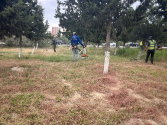Nizami rayonu ərazisində növbəti iməcilik təşkil edilib - 26.05.2025