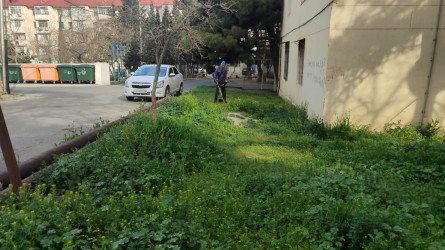 Nizami rayonunda abadlıq və yaşıllaşdırma işləri davam etdirilir - 08.04.2025