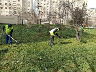 Nizami rayonunda abadlıq və yaşıllaşdırma işləri davam etdirilir - 08.04.2025