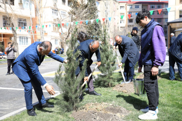 Şirin Mirzəyev küçəsi 70 və 72 saylı binaların həyəti abadlaşdırılaraq sakinlərin istifadəsinə verilib - 05.04.2024