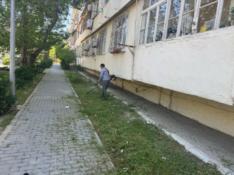 Nizami rayonu ərazisində növbəti iməcilik təşkil edilib - 26.05.2025
