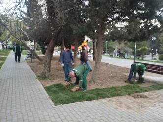 Nizami rayonunda abadlıq və yaşıllaşdırma işləri davam etdirilir - 08.04.2025