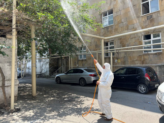 Nizami rayonunda yaşıllıqların qorunması məqsədilə dezinfeksiya işləri davam etdirilir - 17.07.2026