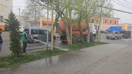 Nizami rayonunda abadlıq və yaşıllaşdırma işləri davam etdirilir - 08.04.2025