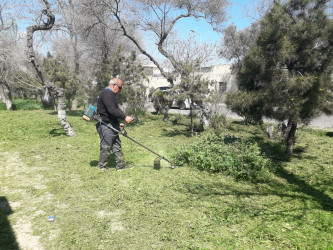 Nizami rayonunda abadlıq və yaşıllaşdırma işləri davam etdirilir - 08.04.2025