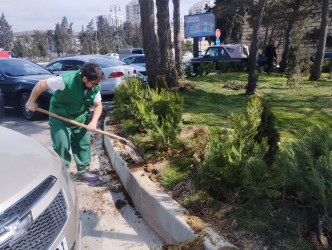 Nizami rayonunda abadlıq və yaşıllaşdırma işləri davam etdirilir - 08.04.2025