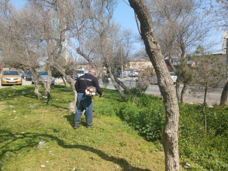Nizami rayonunda abadlıq və yaşıllaşdırma işləri davam etdirilir - 08.04.2025
