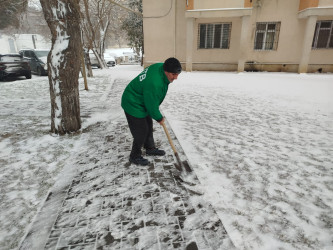 Nizami rayonunda qarın təmizlənməsi ilə bağlı tədbirlər davam etdirilir - 01.03.2025