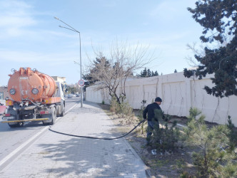 Nizami rayonunda abadlıq və yaşıllaşdırma işləri davam etdirilir - 08.04.2025
