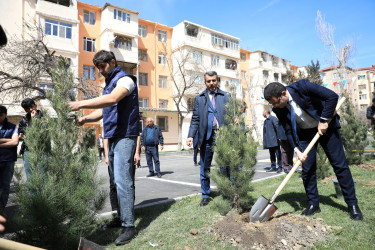 Şirin Mirzəyev küçəsi 70 və 72 saylı binaların həyəti abadlaşdırılaraq sakinlərin istifadəsinə verilib - 05.04.2024