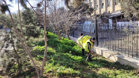 Nizami rayonunda abadlıq və yaşıllaşdırma işləri davam etdirilir - 08.04.2025