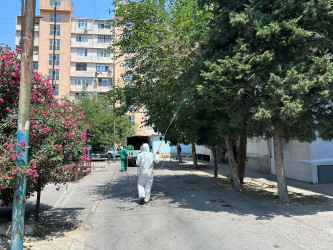 Nizami rayonunda yaşıllıqların qorunması məqsədilə dezinfeksiya işləri davam etdirilir - 17.07.2026