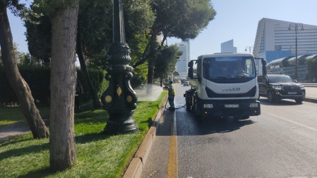 Nizami rayonunda yaşıllıqlara qulluq və abadlıq işləri davam etdirilir - 18.07.2026