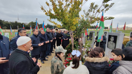 Vətən müharibəsi şəhidləri leytenant Kənan Süleymanlı, leytenant Teymur Məcidzadə və Əsəd Əsədlinin məzarları ziyarət edilib - 09.11.2024