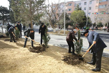 Nizami rayonunda növbəti məhəllə abadlaşdırılaraq sakinlərin istifadəsinə verildi - 18.02.2026