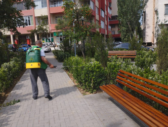 Ümumrayon iməciliyi - 22.06.2024