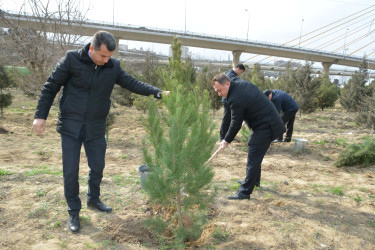 “Yaşıl Dünya Naminə Həmrəylik ili” ilə əlaqədar konfrans - 14.03.2024