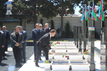 Nizami rayonunda Silahlı Qüvvələr Günü ilə əlaqədar şəhidlərin əziz xatirəsi ehtiramla yad edilib - 26.06.2025