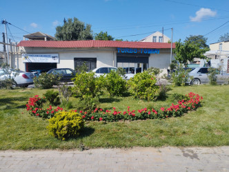 Nizami rayonunda abadlıq işləri davam etdirilir - 31.05.2025