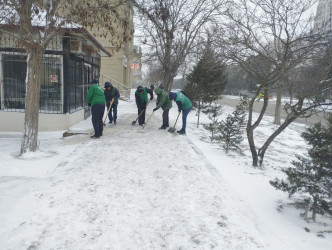 Nizami rayonunda qarın təmizlənməsi ilə bağlı tədbirlər davam etdirilir - 01.03.2025