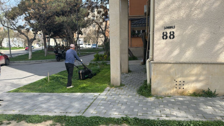 Nizami rayonunda abadlıq və yaşıllaşdırma işləri davam etdirilir - 08.04.2025