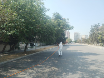 Nizami rayonunda yaşıllıqların qorunması məqsədilə dezinfeksiya işləri davam etdirilir - 17.07.2026