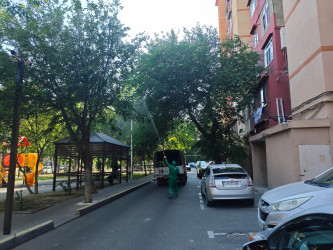 Nizami rayonunda yaşıllıqların qorunması məqsədilə dezinfeksiya işləri davam etdirilir - 17.07.2026